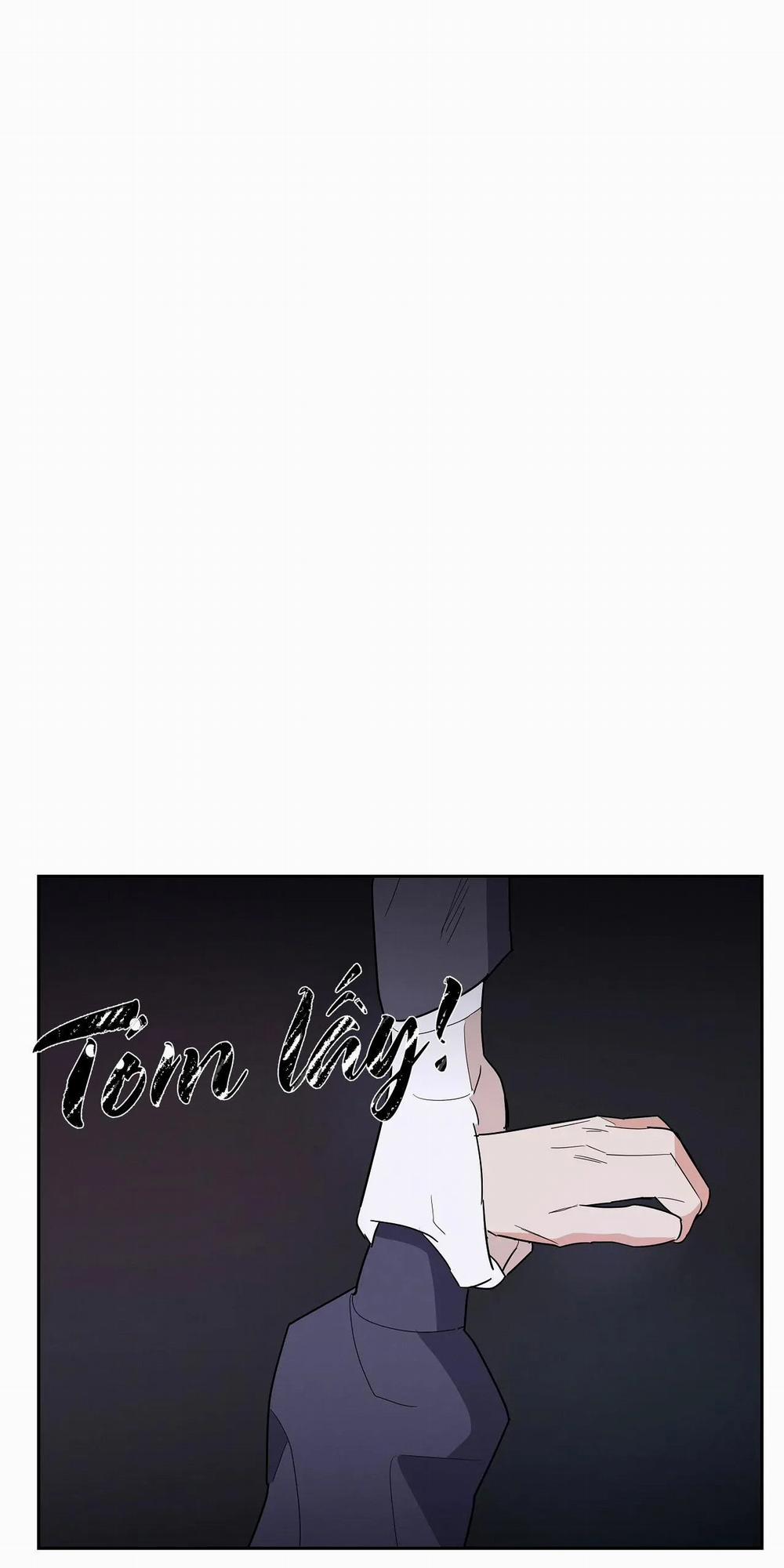 Người đàn ông thứ 7 88 trang 11