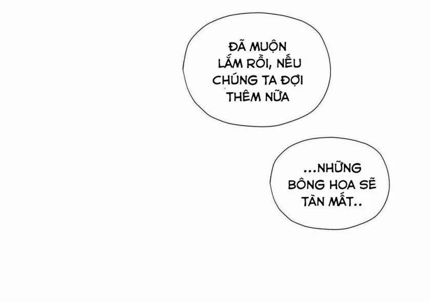 Người Hầu Hoàng Gia Bl 12 trang 11