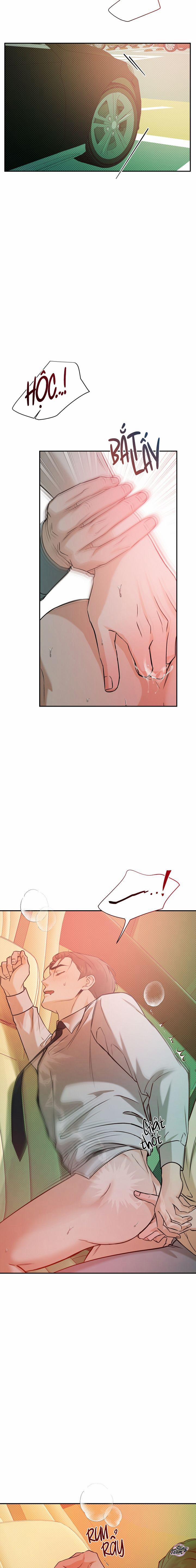 Người Lạ 55 trang 12