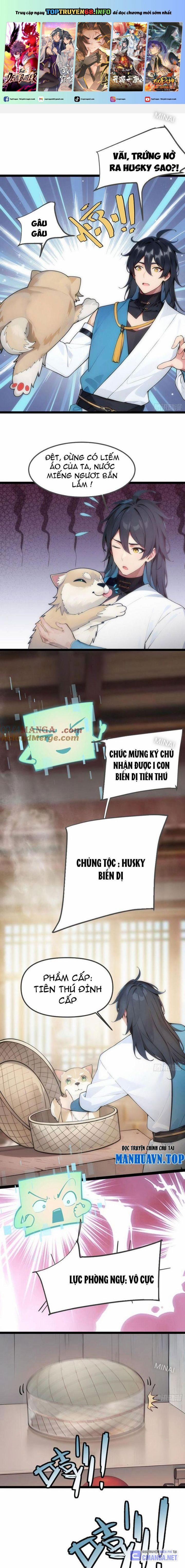 Ngươi Làm Bộ Tu Luyện Đi! 12 trang 0