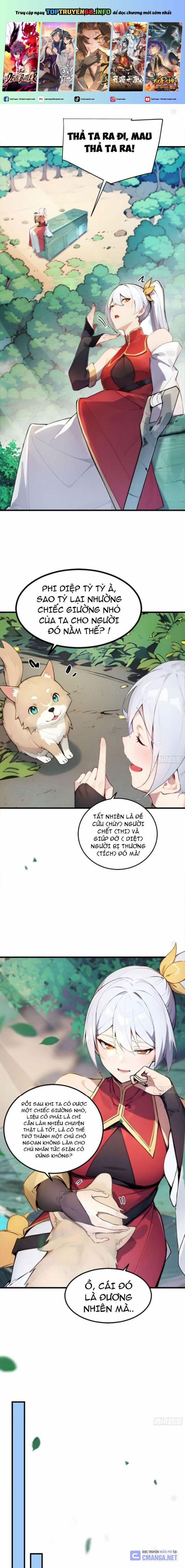 Ngươi Làm Bộ Tu Luyện Đi! 31 trang 0