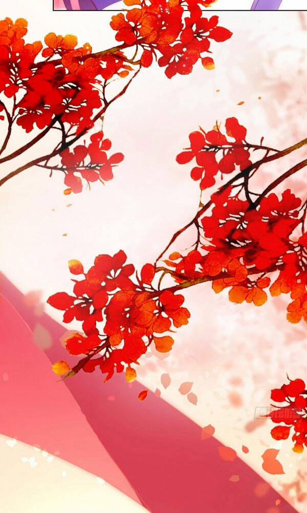 Người Ở Rể Bị Ép Thành Phản Diện 116 trang 11