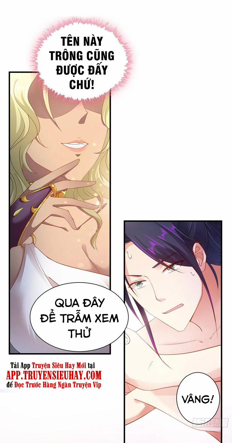 Người Ở Rể Bị Ép Thành Phản Diện 196 trang 20