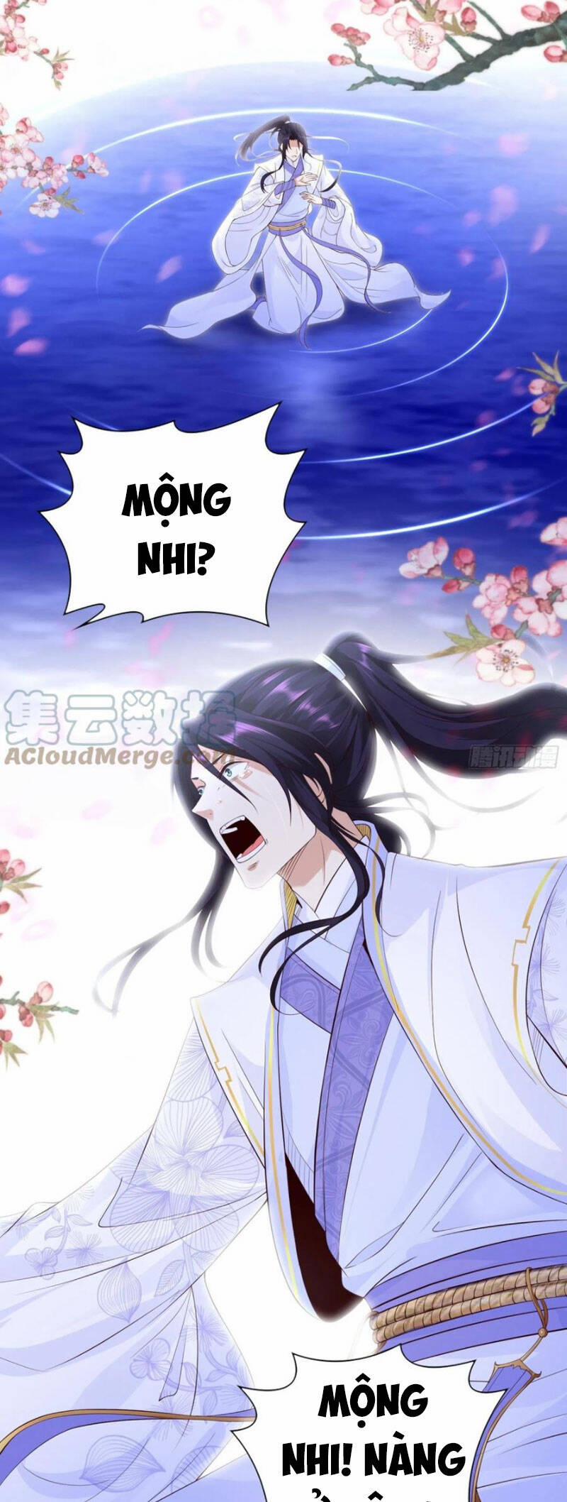 Người Ở Rể Bị Ép Thành Phản Diện 238 trang 7