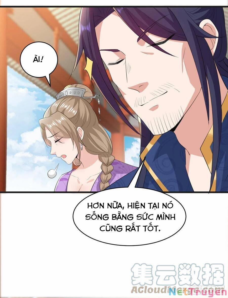 Người Ở Rể Bị Ép Thành Phản Diện 253 trang 17