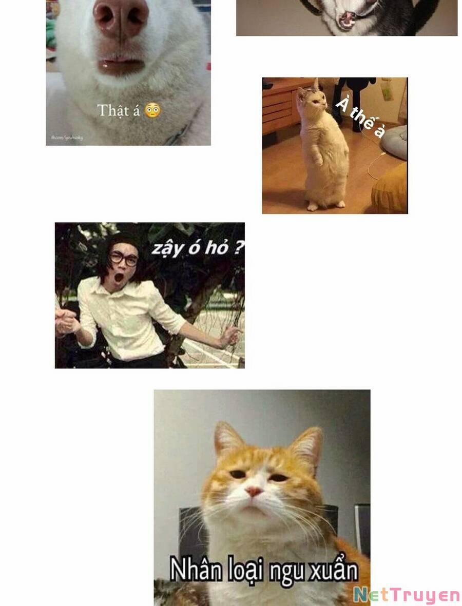 Người Ở Rể Bị Ép Thành Phản Diện 267 trang 43