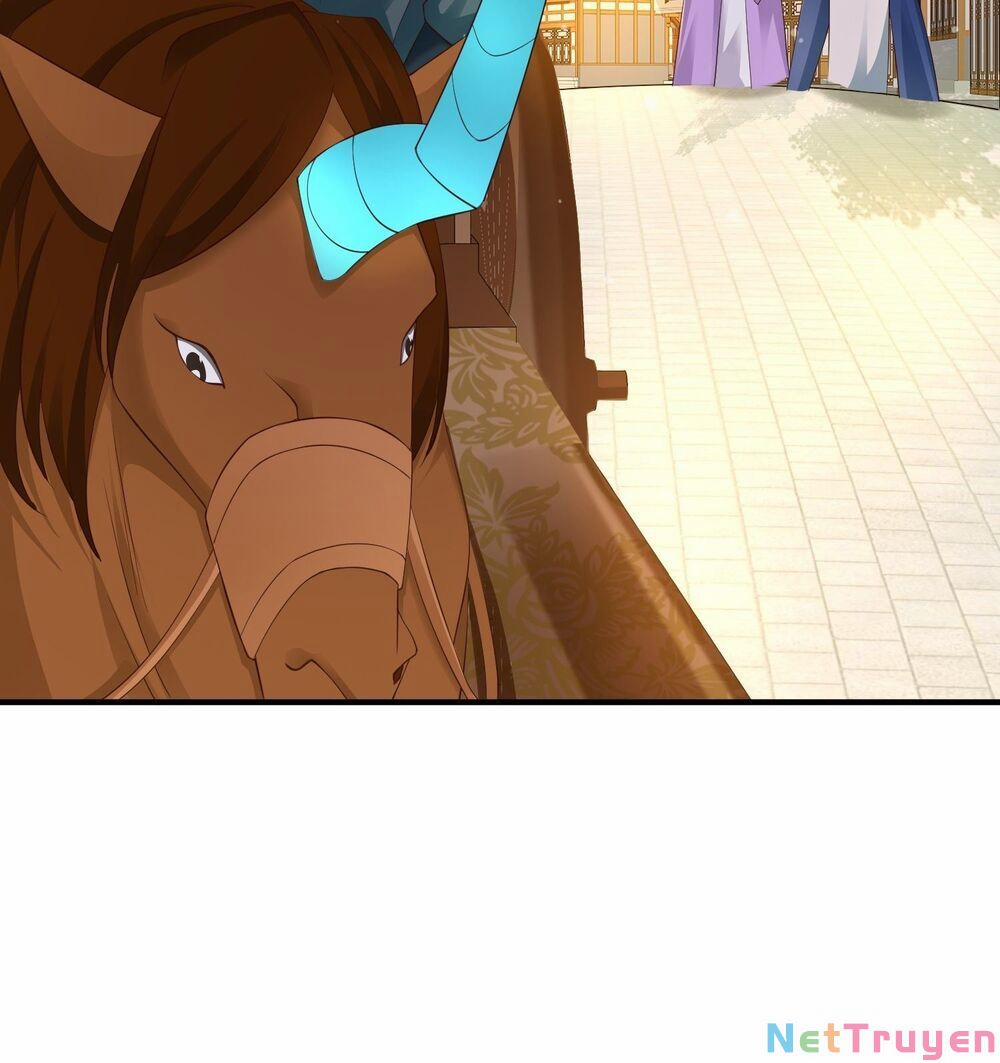 Người Ở Rể Bị Ép Thành Phản Diện 287 trang 12