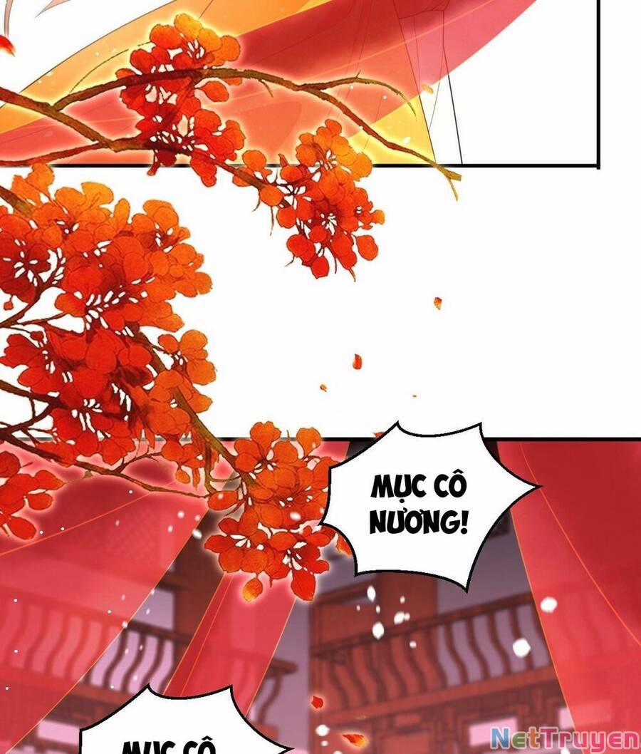 Người Ở Rể Bị Ép Thành Phản Diện 295 trang 29