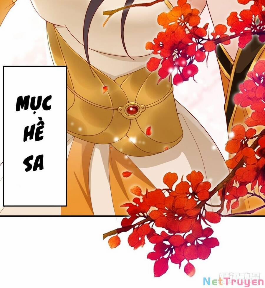 Người Ở Rể Bị Ép Thành Phản Diện 295 trang 34