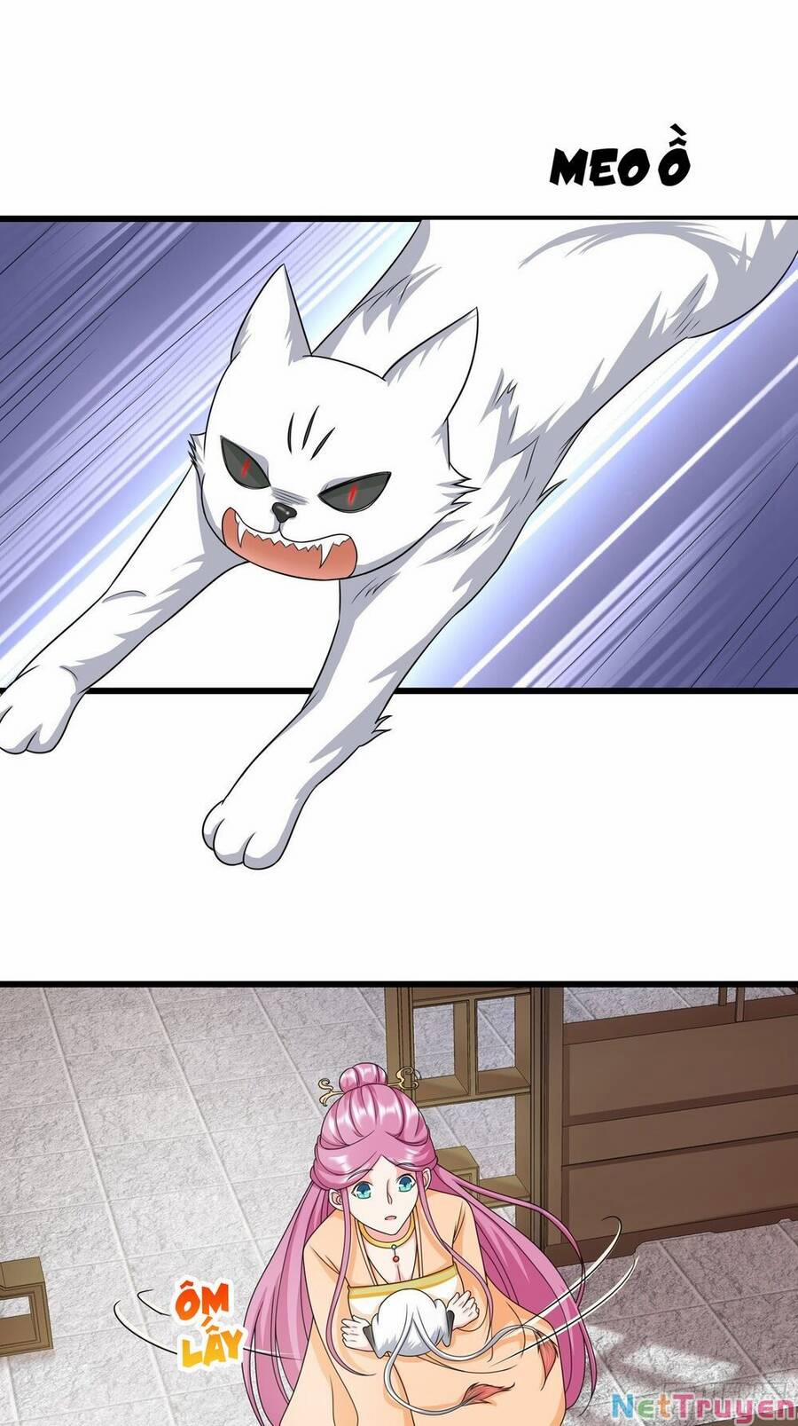 Người Ở Rể Bị Ép Thành Phản Diện 329 trang 11