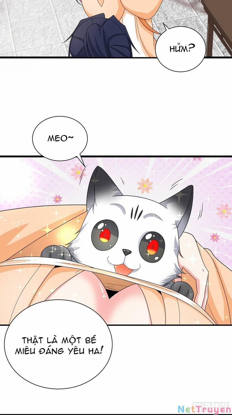 Người Ở Rể Bị Ép Thành Phản Diện 329 trang 12