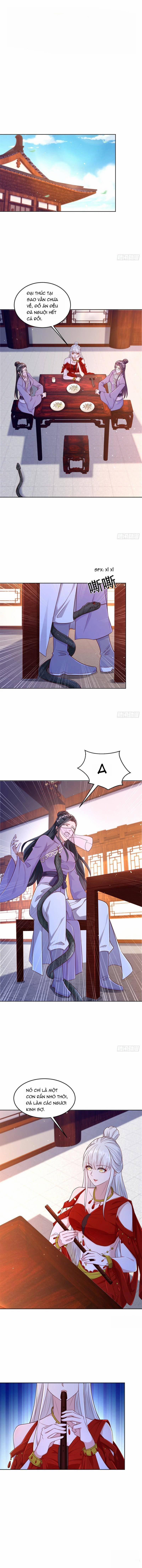 Người Ở Rể Bị Ép Thành Phản Diện 464 trang 0