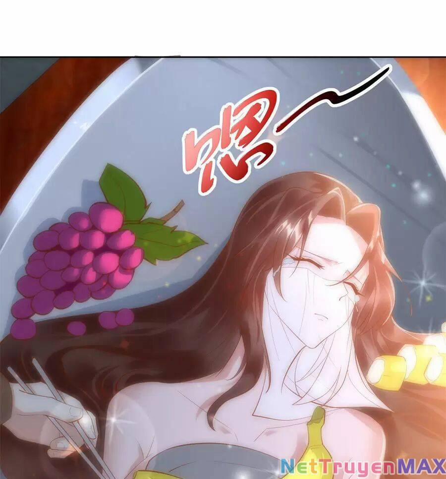 Người Ở Rể Bị Ép Thành Phản Diện 473 trang 14