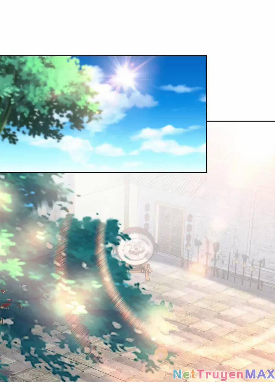 Người Ở Rể Bị Ép Thành Phản Diện 474 trang 7