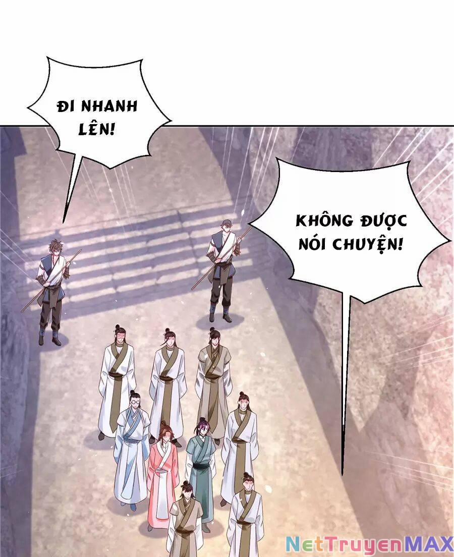 Người Ở Rể Bị Ép Thành Phản Diện 478 trang 41