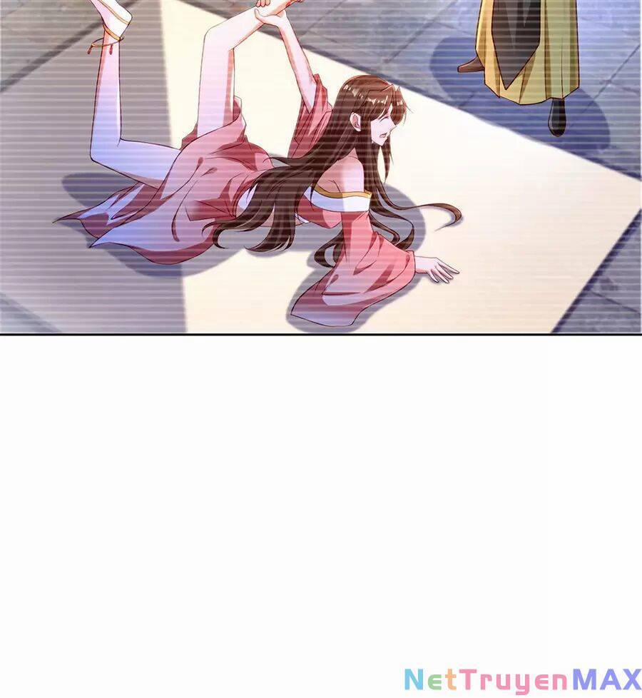 Người Ở Rể Bị Ép Thành Phản Diện 480 trang 28
