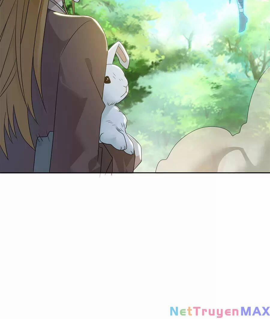 Người Ở Rể Bị Ép Thành Phản Diện 482 trang 17