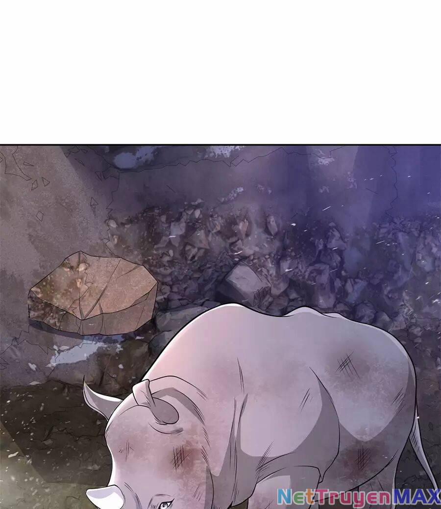 Người Ở Rể Bị Ép Thành Phản Diện 484 trang 21