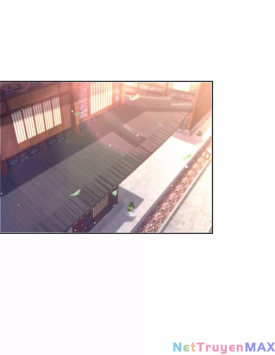 Người Ở Rể Bị Ép Thành Phản Diện 485 trang 1