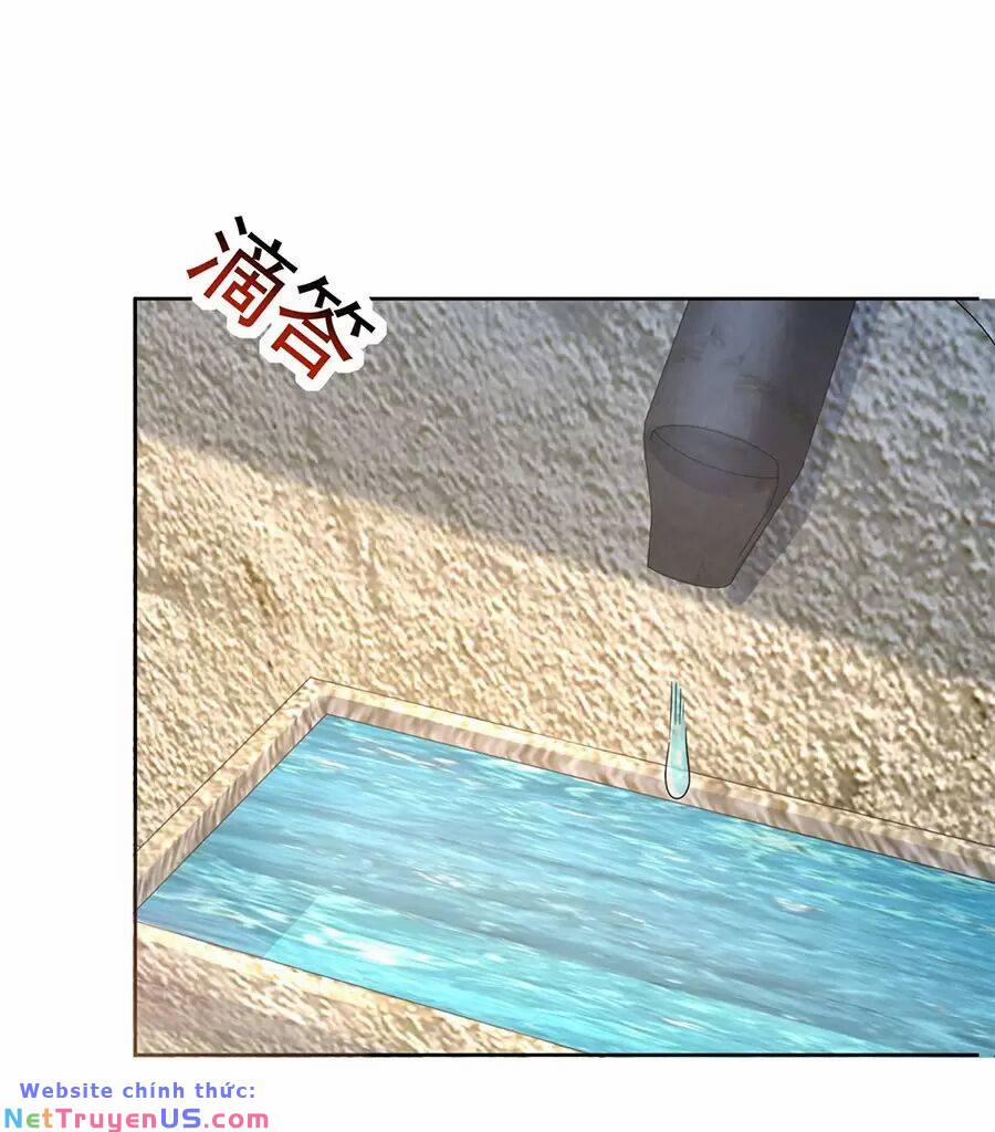 Người Ở Rể Bị Ép Thành Phản Diện 488 trang 16