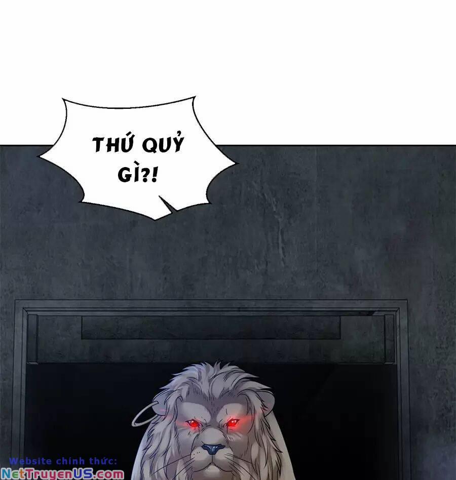 Người Ở Rể Bị Ép Thành Phản Diện 490 trang 15