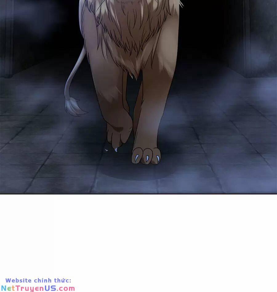 Người Ở Rể Bị Ép Thành Phản Diện 490 trang 16