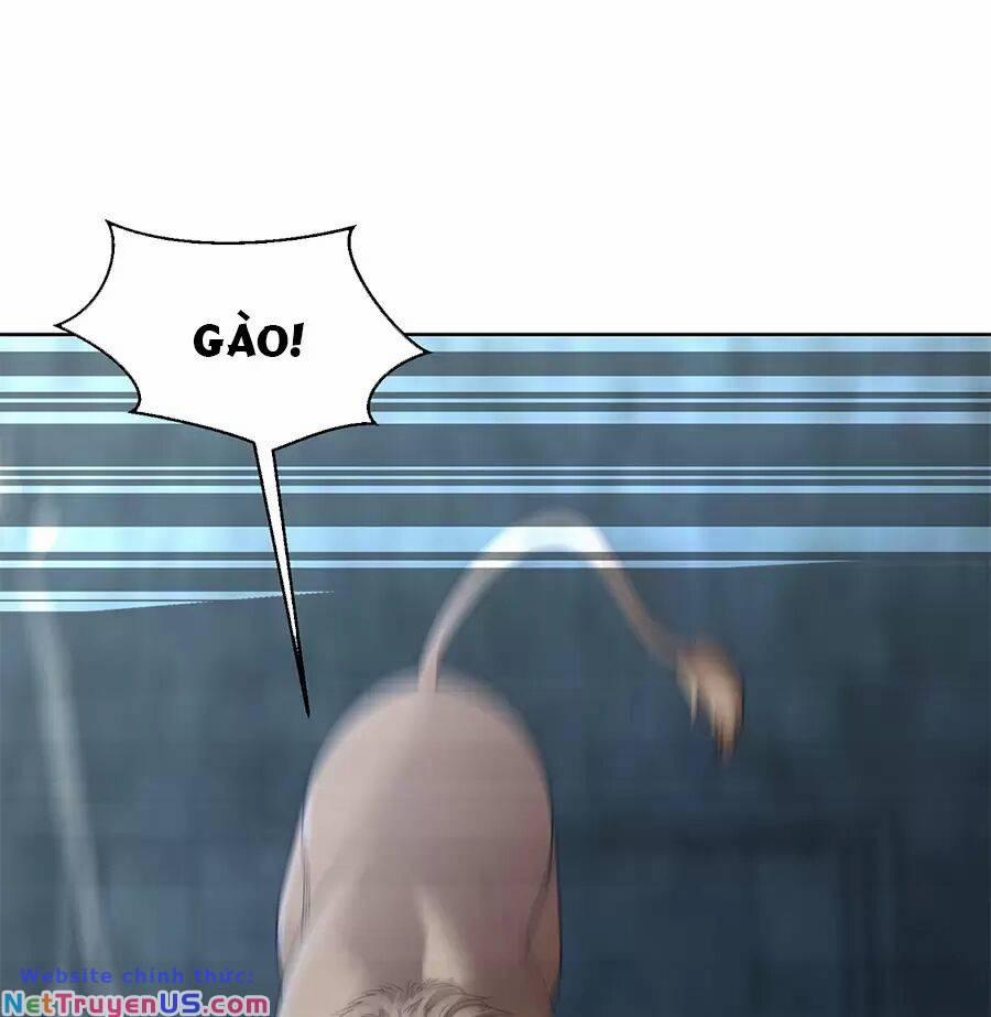 Người Ở Rể Bị Ép Thành Phản Diện 490 trang 17