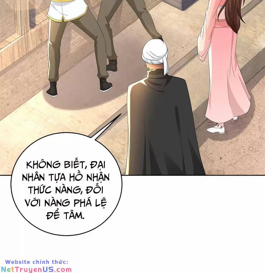 Người Ở Rể Bị Ép Thành Phản Diện 491 trang 14