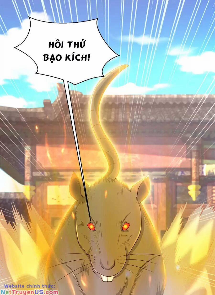 Người Ở Rể Bị Ép Thành Phản Diện 494 trang 50