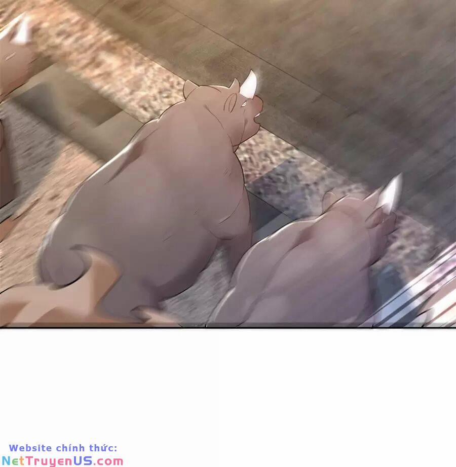 Người Ở Rể Bị Ép Thành Phản Diện 497 trang 63