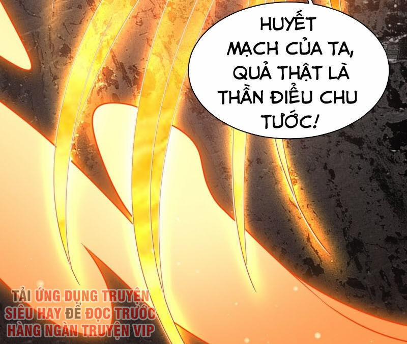 Người Ở Rể Bị Ép Thành Phản Diện 60 trang 12