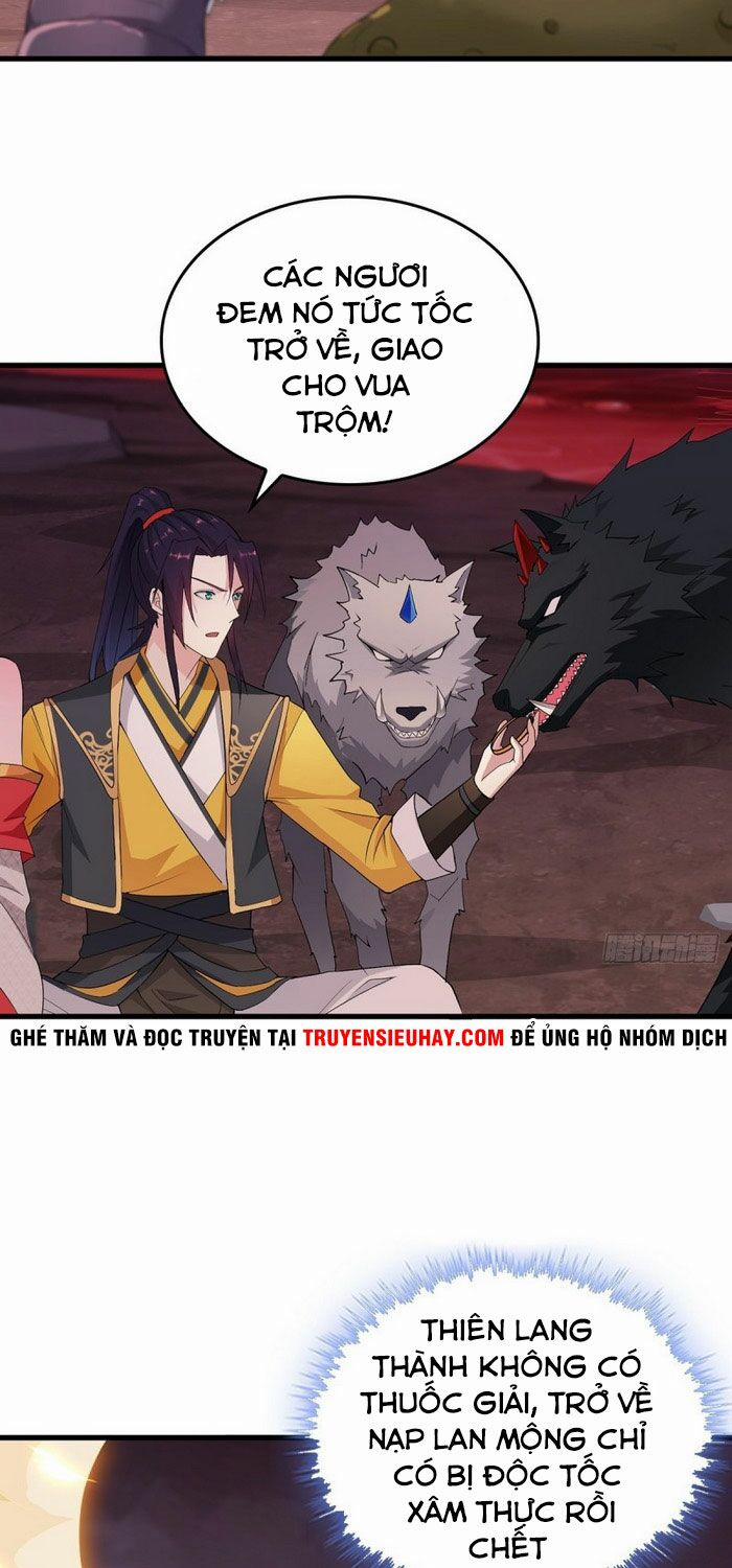 Người Ở Rể Bị Ép Thành Phản Diện 71 trang 17