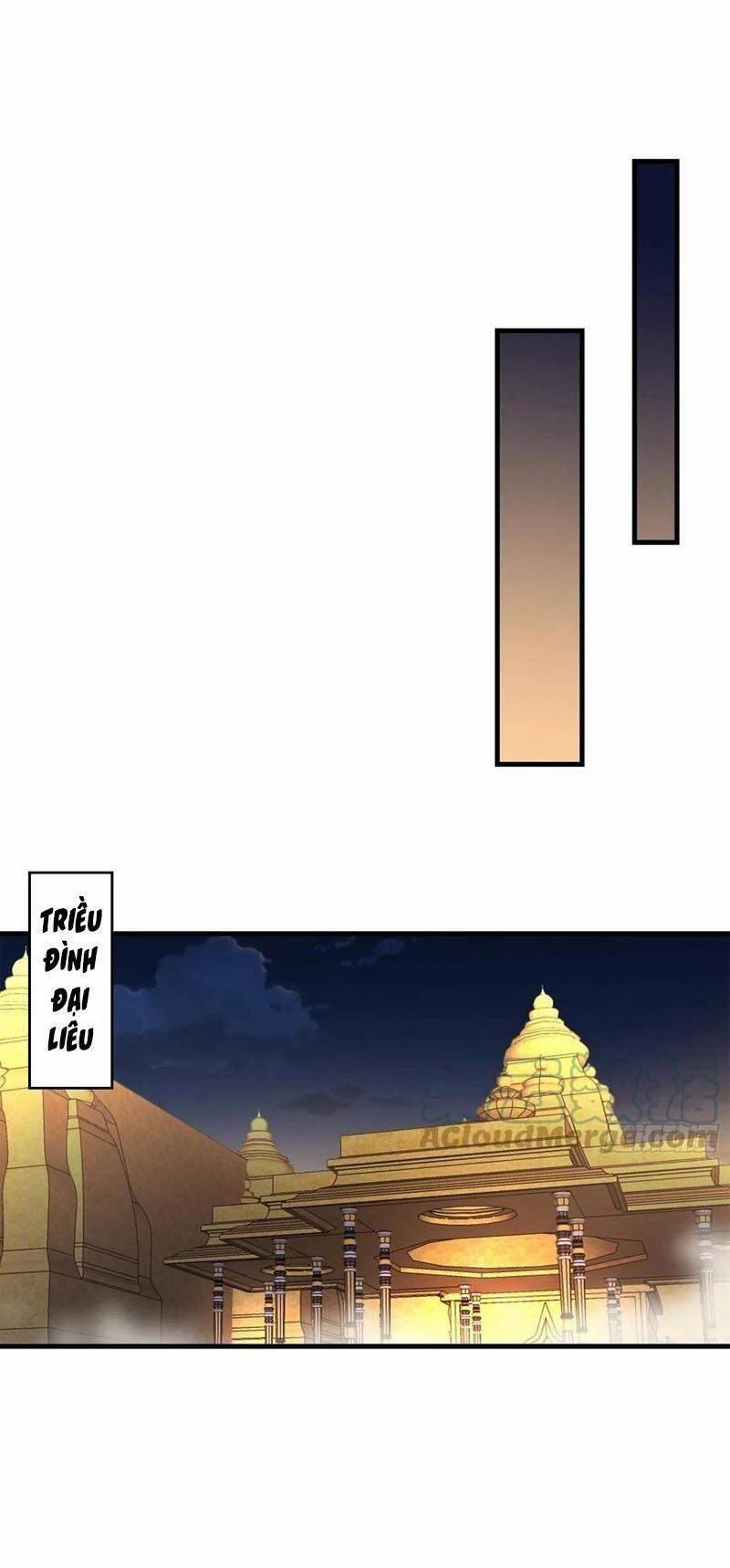 Người Ở Rể Bị Ép Thành Phản Diện Chuong 204 trang 13