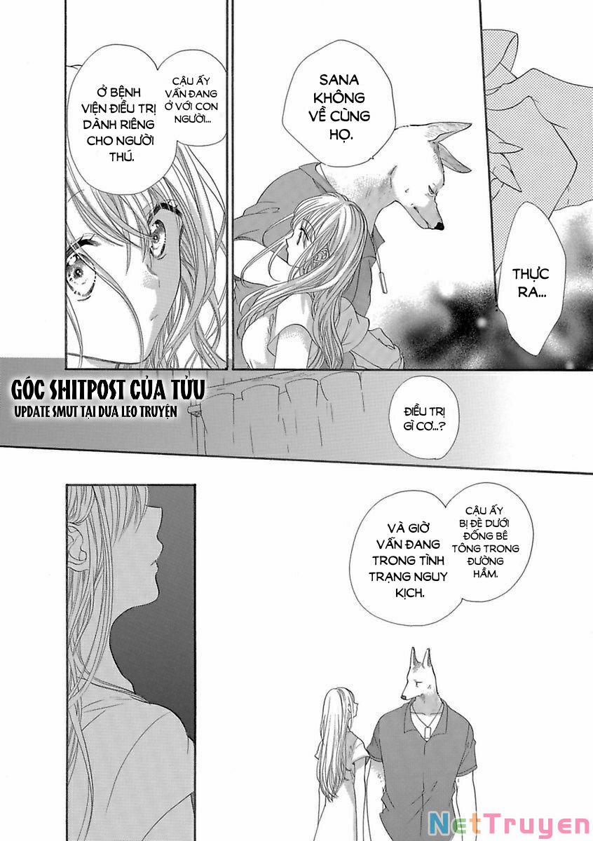 Người Thú Và Hana-Chan 15 trang 1