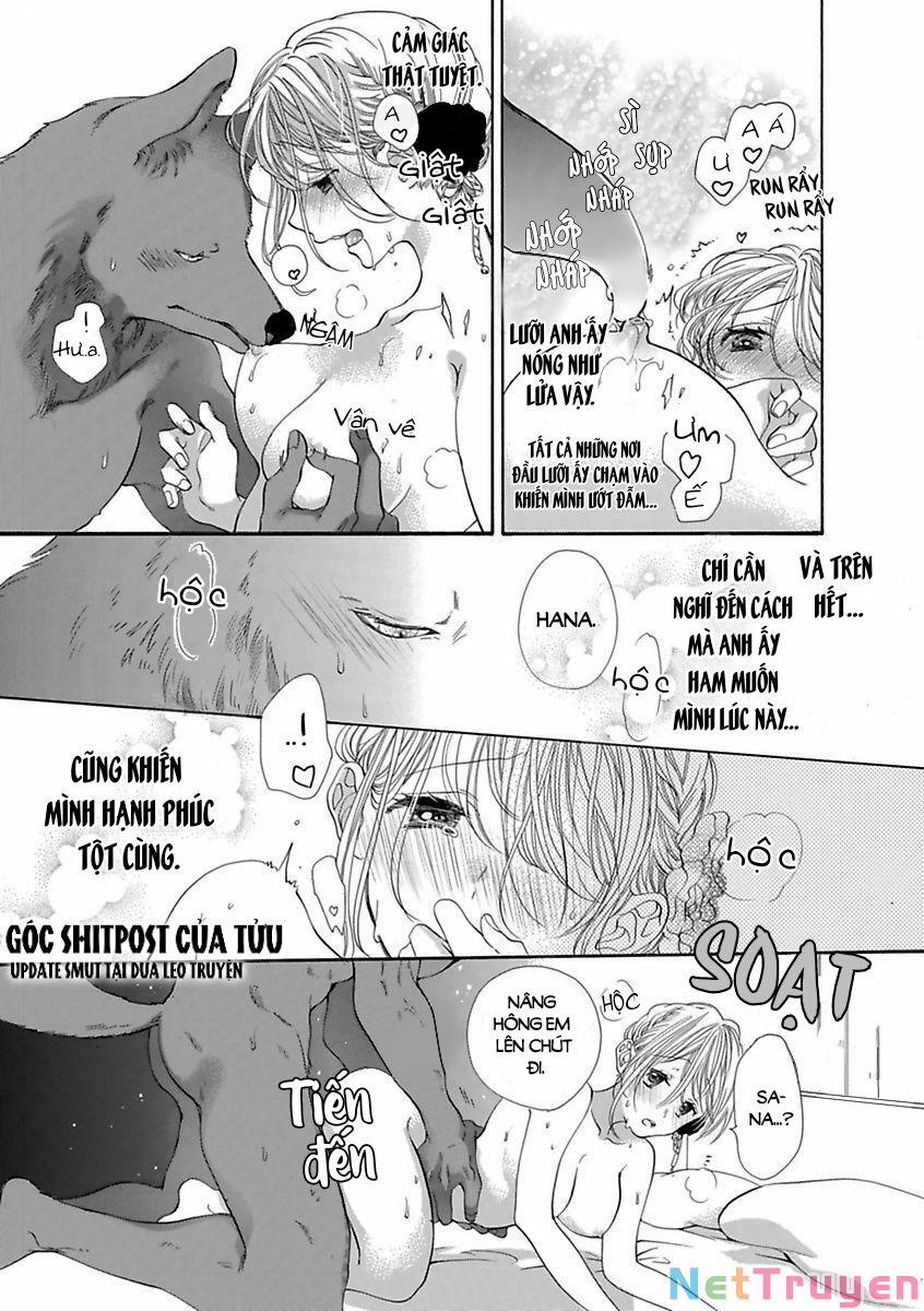 Người Thú Và Hana-Chan 16 trang 4