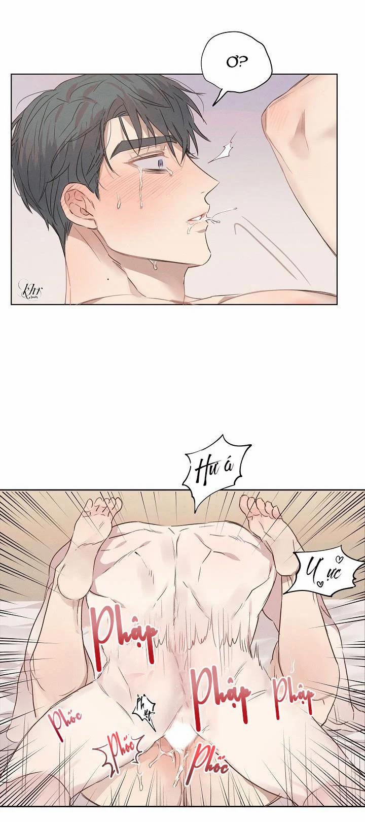 Người Tình Chân Thật 4 trang 19