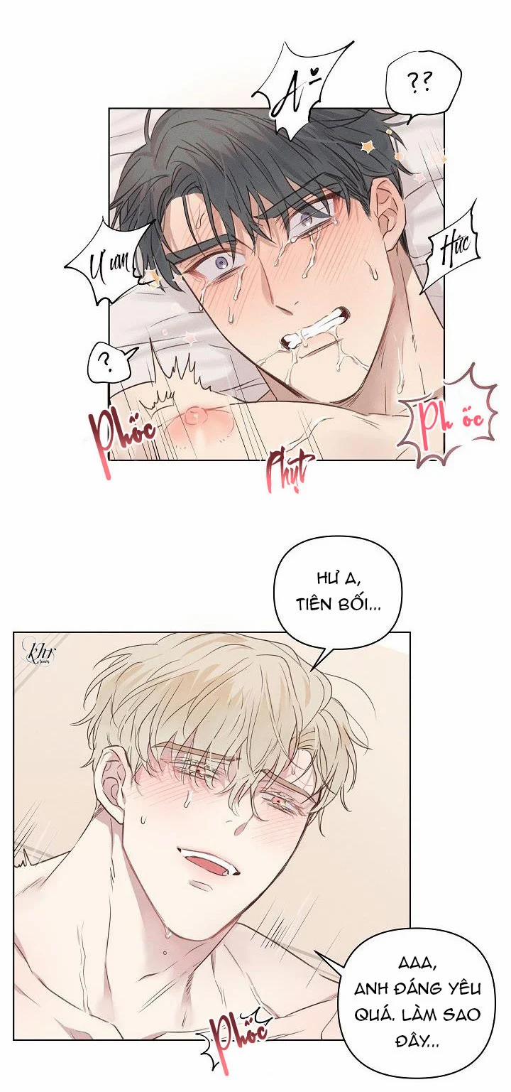 Người Tình Chân Thật 4 trang 20