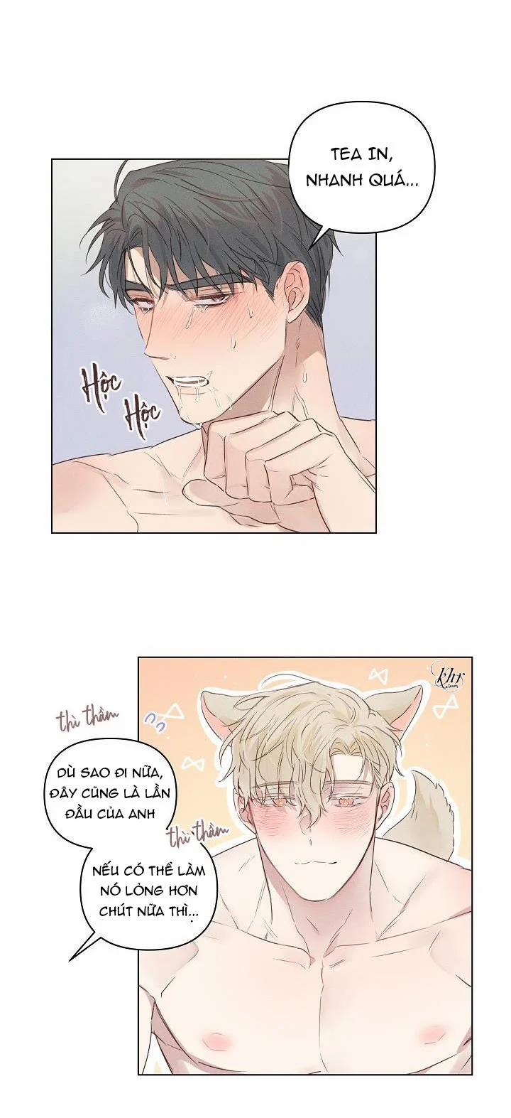 Người Tình Chân Thật 4 trang 26