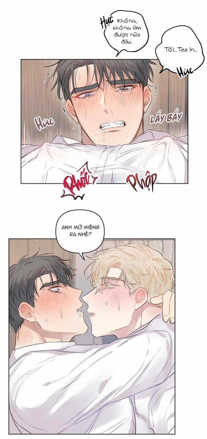 Người Tình Chân Thật 6 trang 11