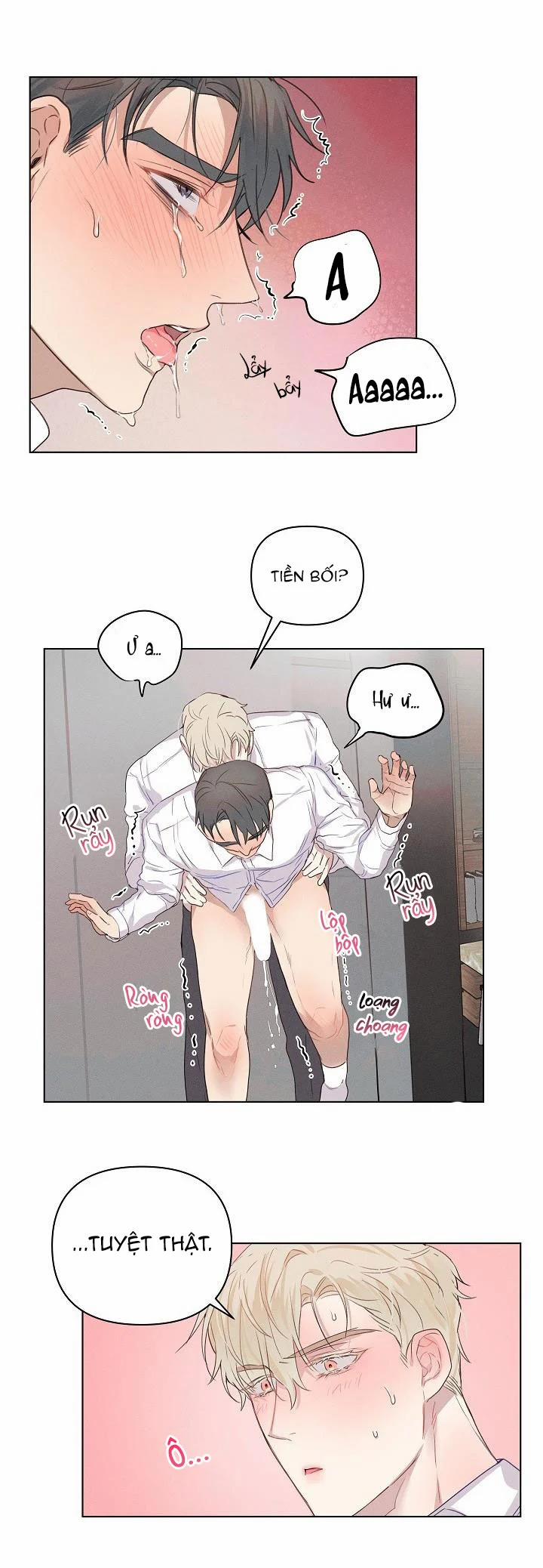 Người Tình Chân Thật 6 trang 21