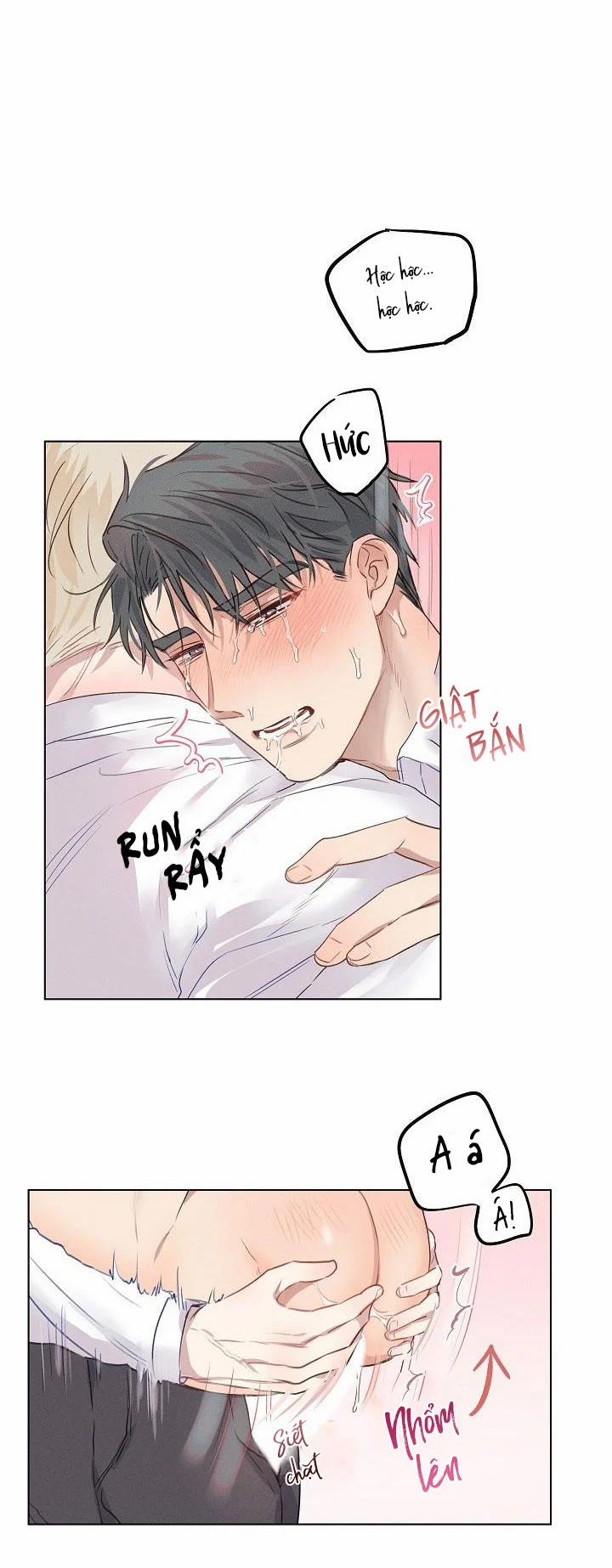 Người Tình Chân Thật 6 trang 4