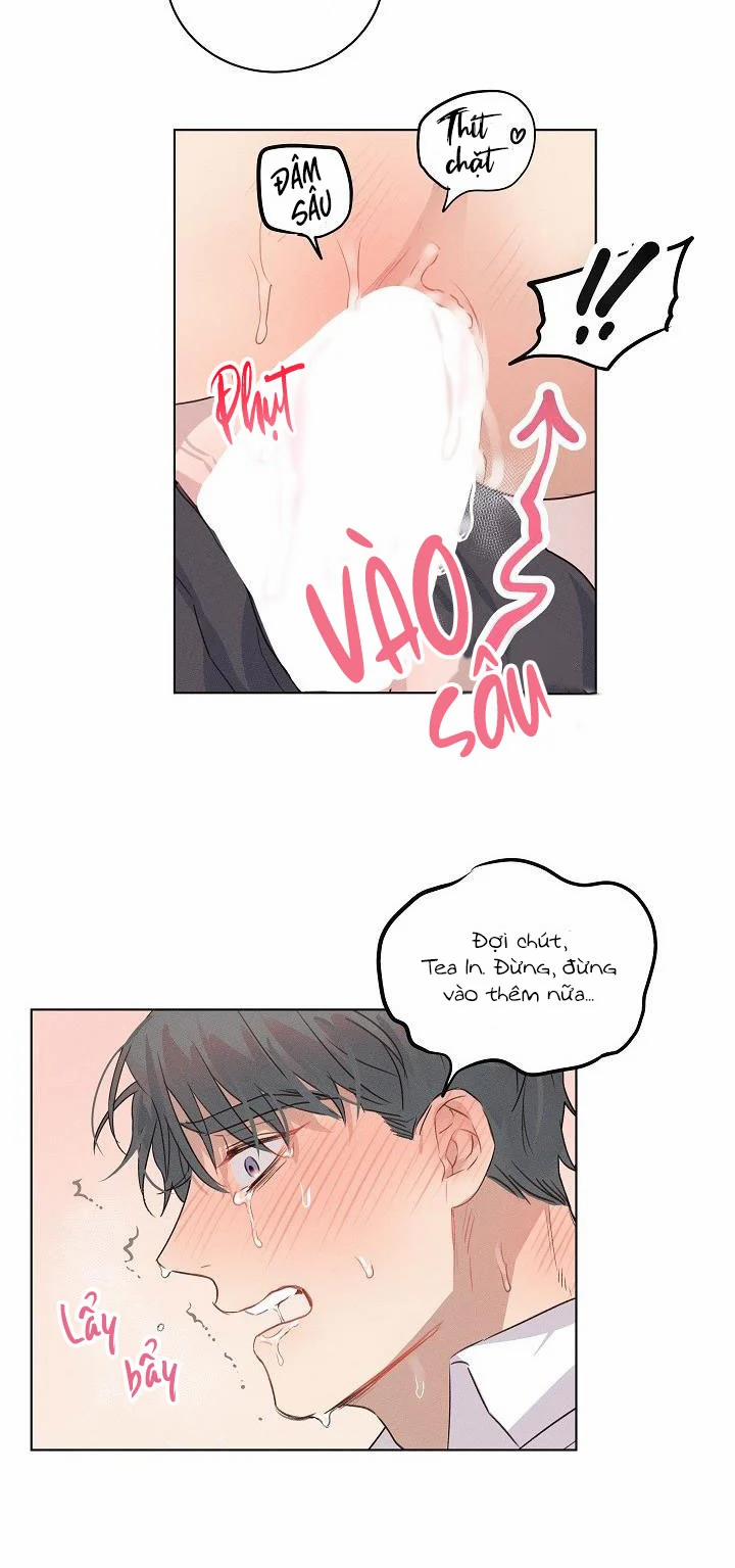 Người Tình Chân Thật 6 trang 8