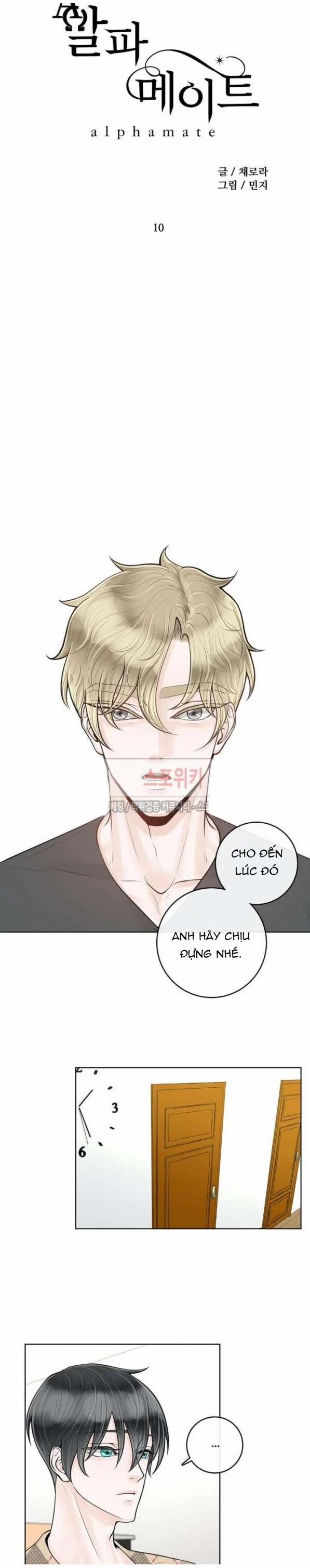 Người Tình Của Alpha 10 trang 12