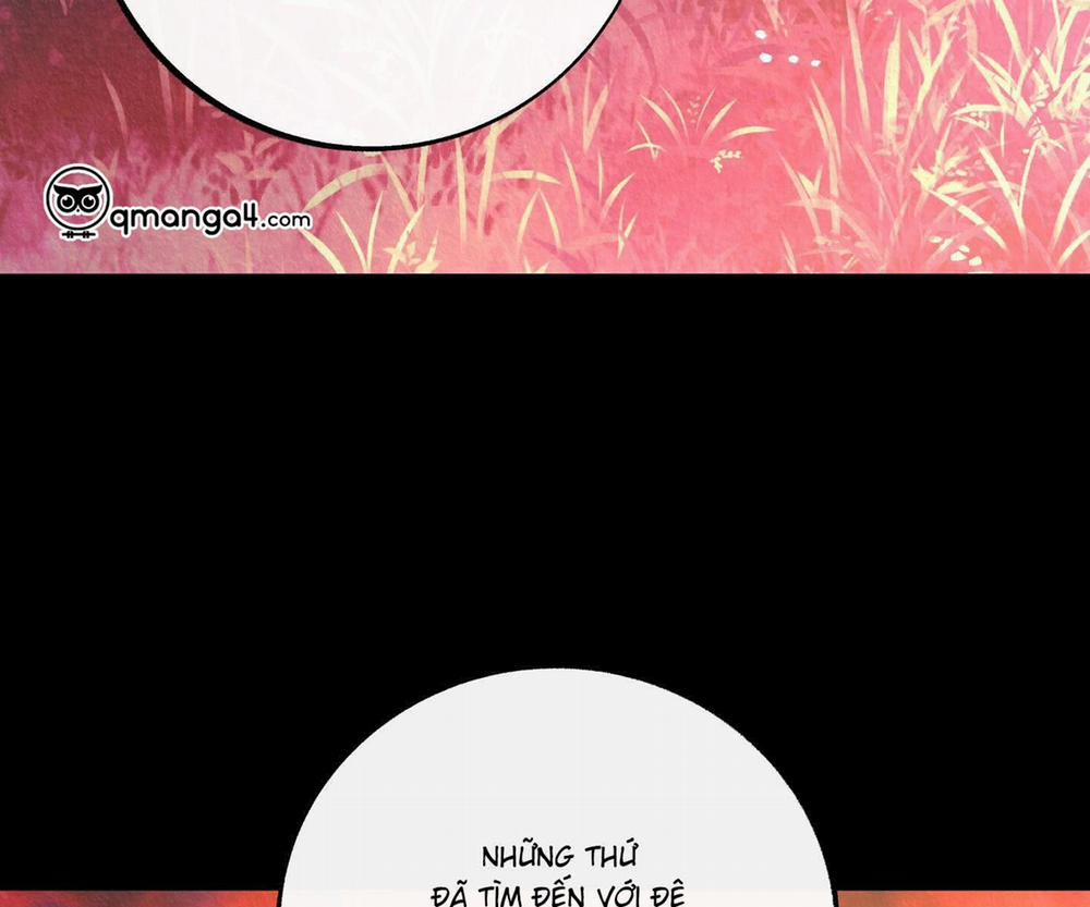 Người Tình Của Sura Hậu truyện trang 39