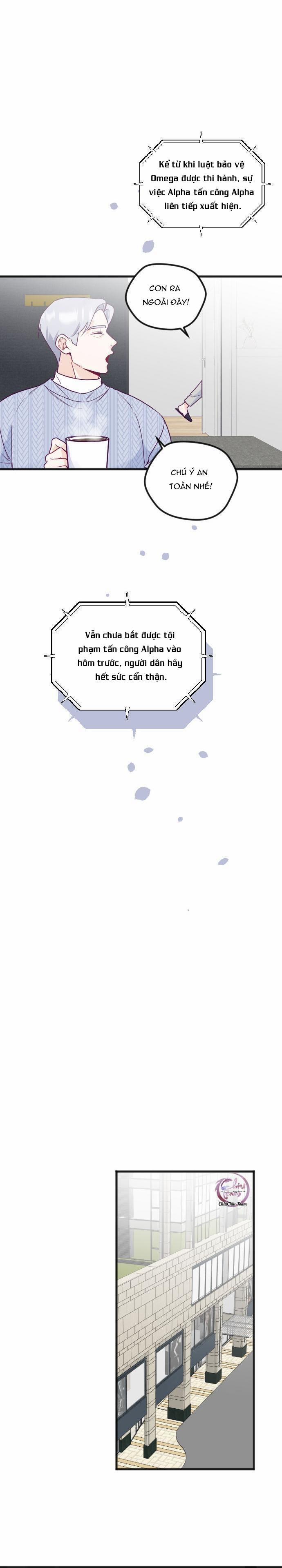 Người Tình Thế Thân Của Alpha 12 trang 20