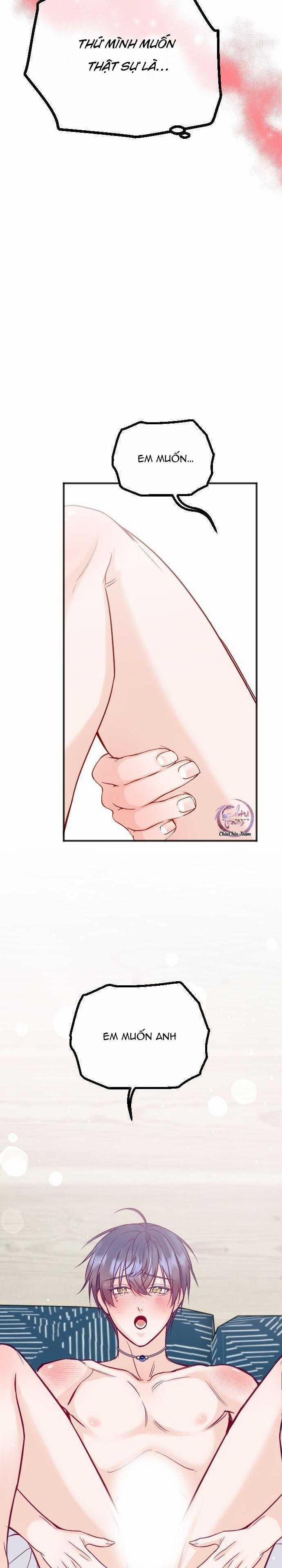 Người Tình Thế Thân Của Alpha 15 trang 19