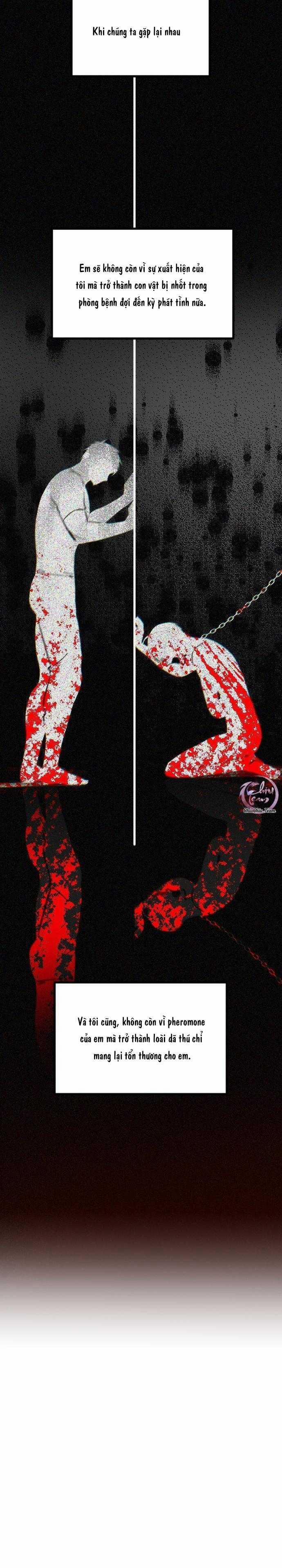 Người Tình Thế Thân Của Alpha 15 trang 29