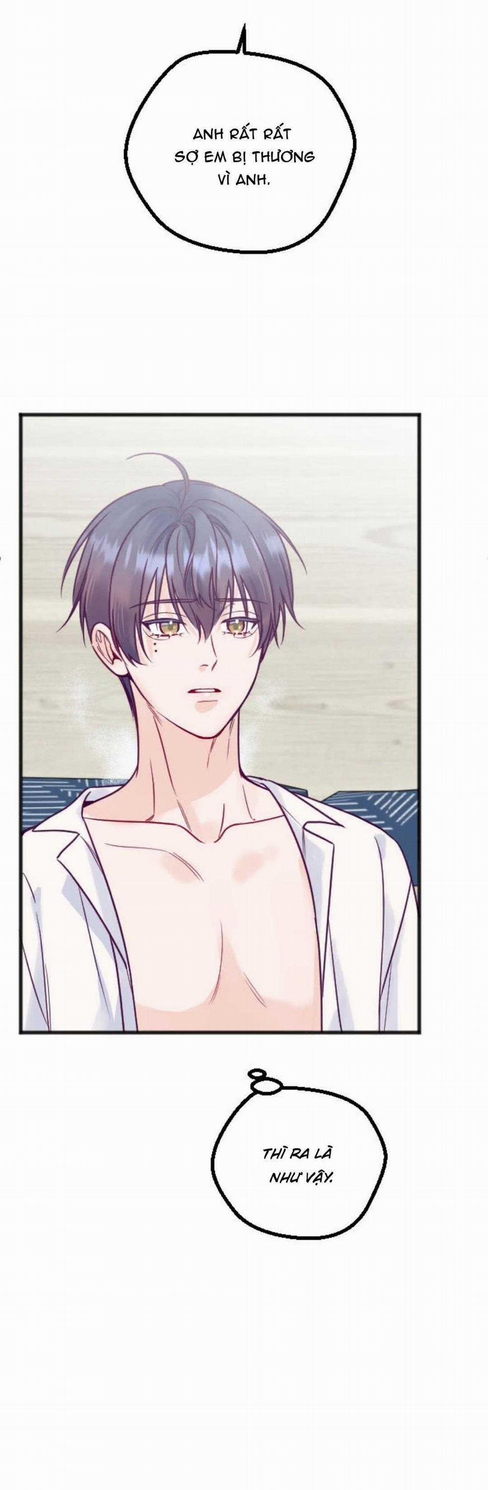 Người Tình Thế Thân Của Alpha 16 trang 14