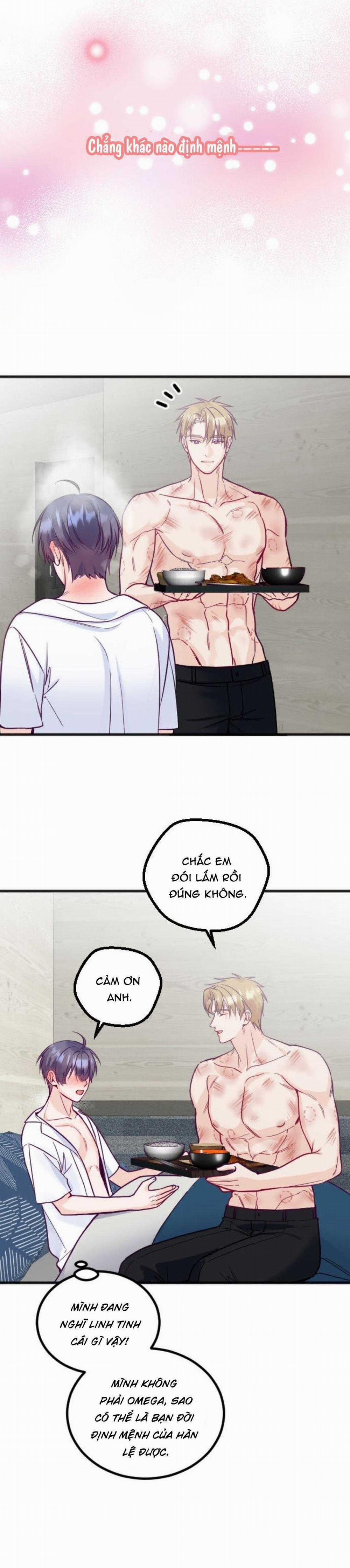 Người Tình Thế Thân Của Alpha 16 trang 19
