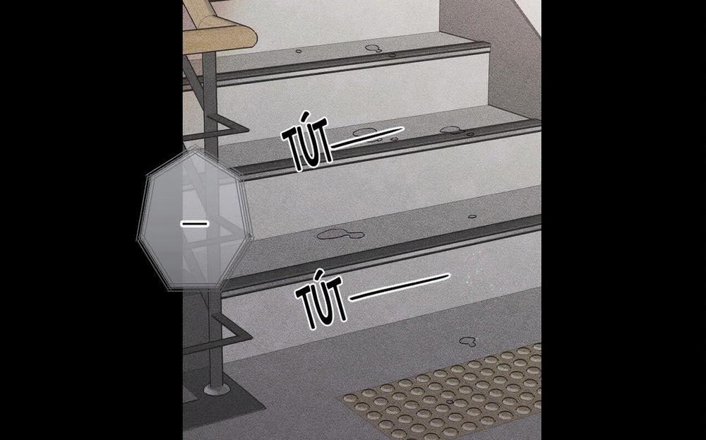 Người Yêu Của Anh 11 trang 61